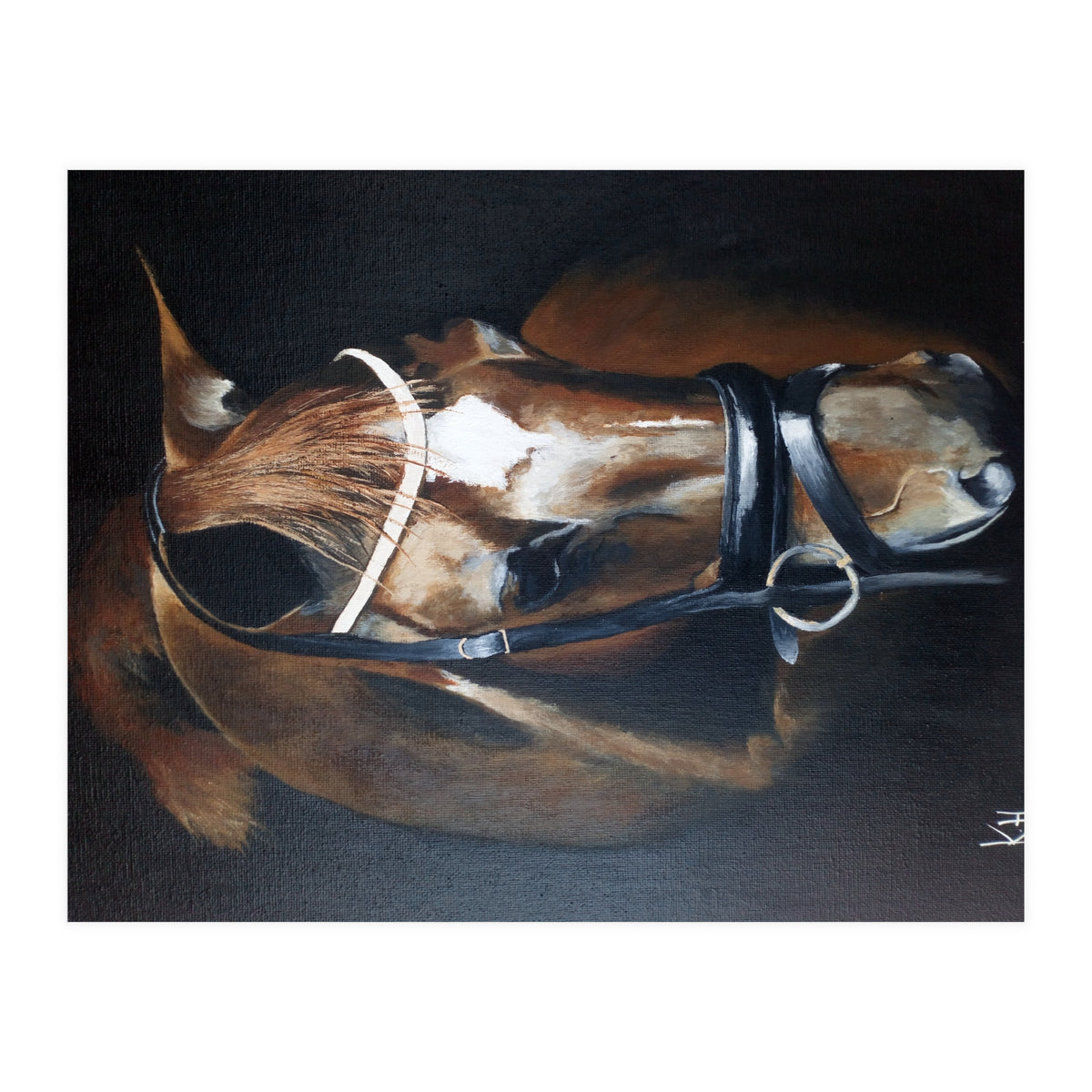 Magestic  (Print Only)