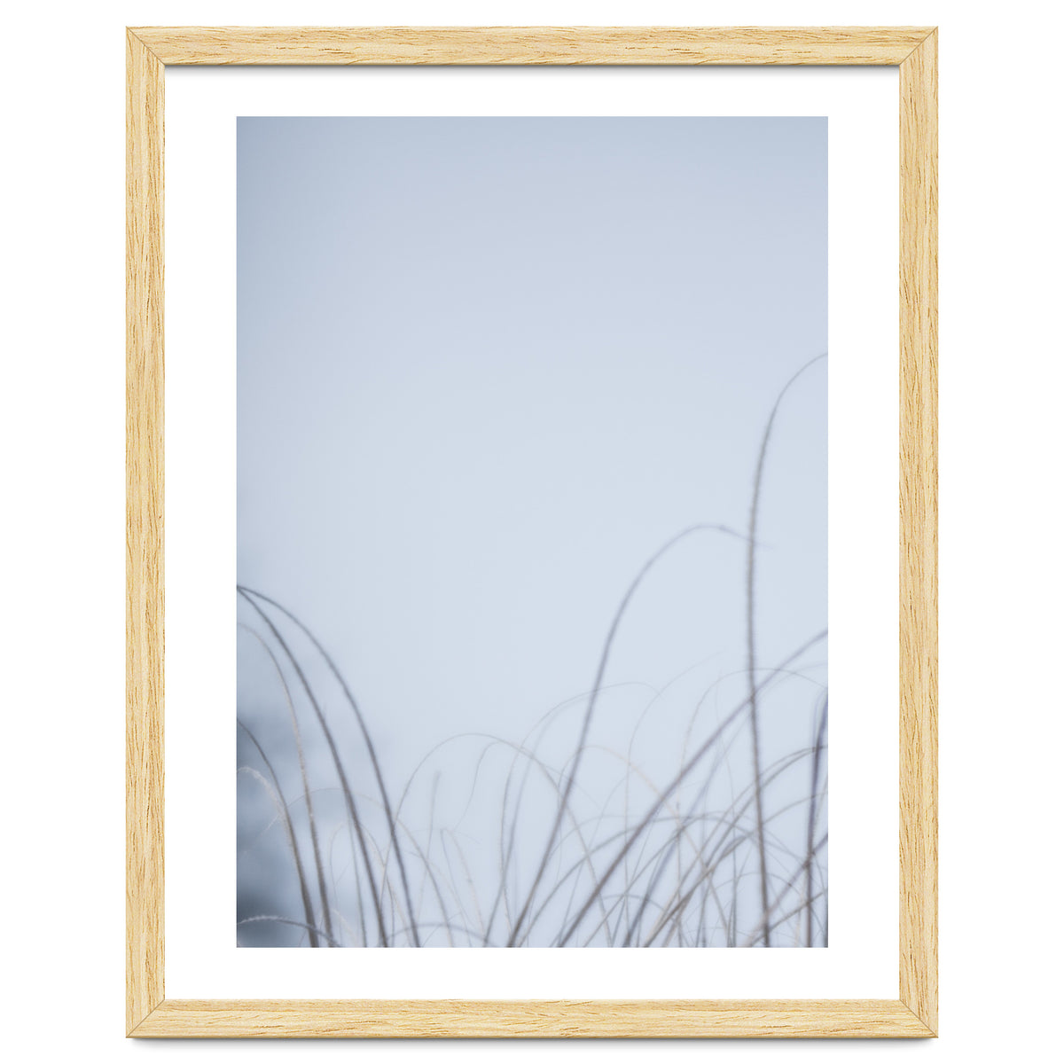 Forgotten Memories of Summer #20