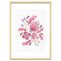 Protea | Floral Pink