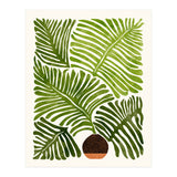 Modern Fern (Print Only) thumbnail