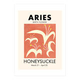 Aries Birth Flower Honeysuckle (Print Only) thumbnail