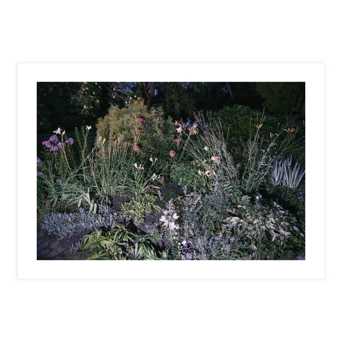 Picture Postcard Perfect (Print Only)