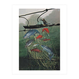 Salmon Trap (Print Only) thumbnail