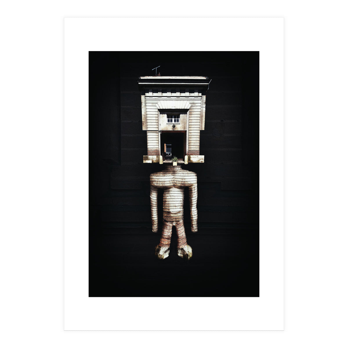 VooDooTooL - Jujia (Print Only)