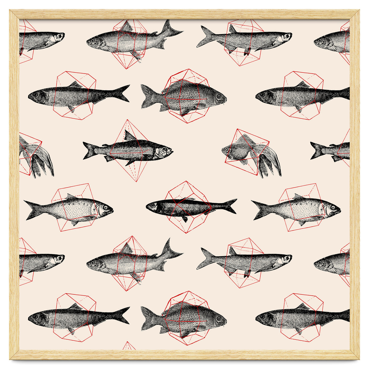 Fish In Geometrics