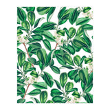 Botanica (Print Only) thumbnail