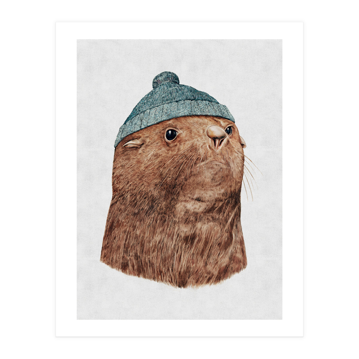 The Fur Seal (Print Only)