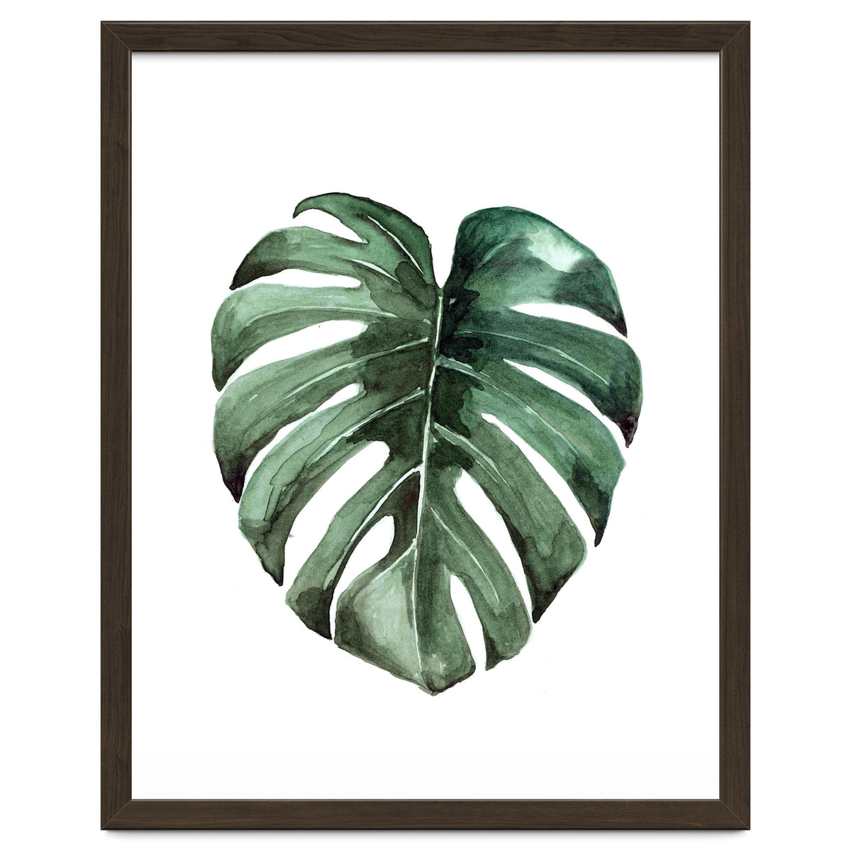 Botanical Illustration Monstera Deliciosa