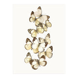 Cc Butterflies 01 (Print Only) thumbnail