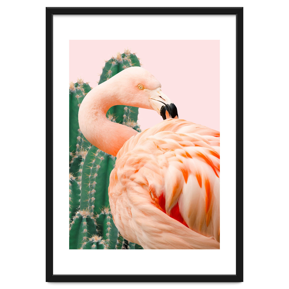 Flamingo & Cactus