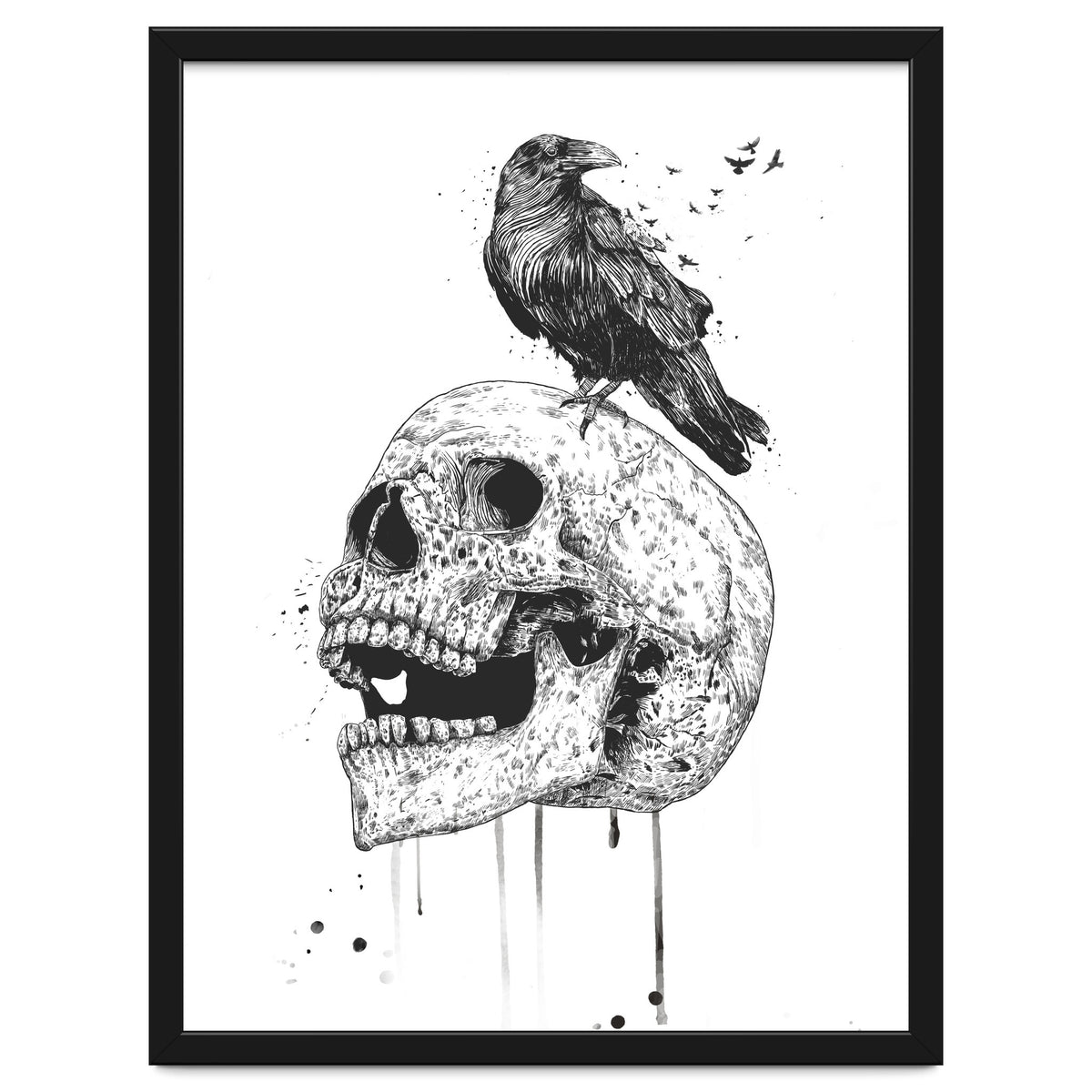 New Skull (bw)