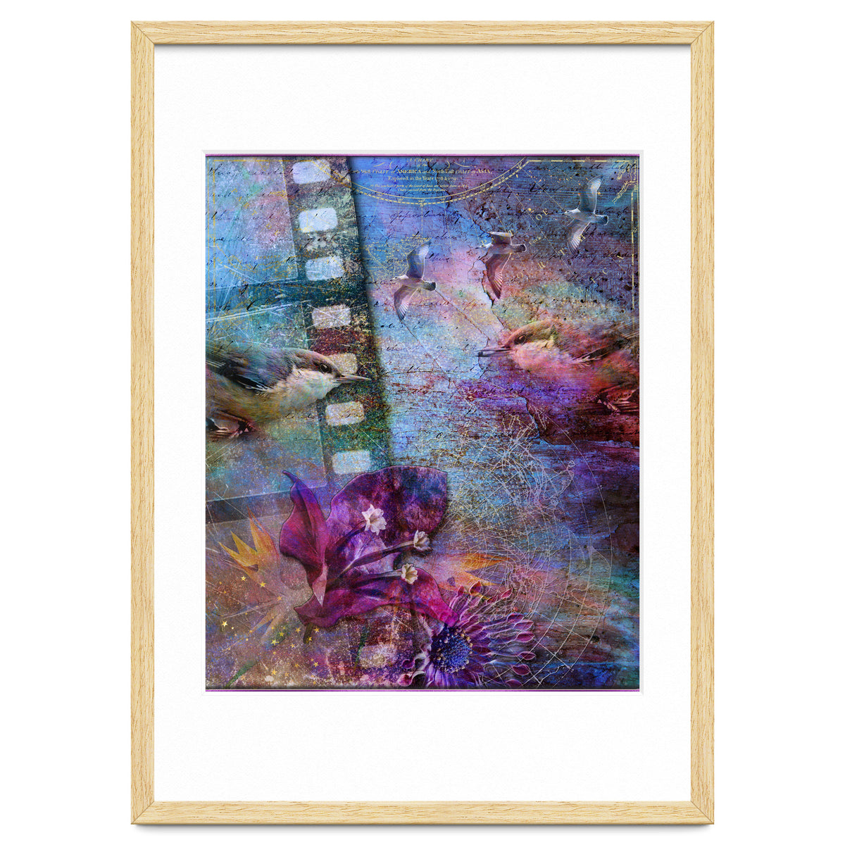 Watching the Wild World