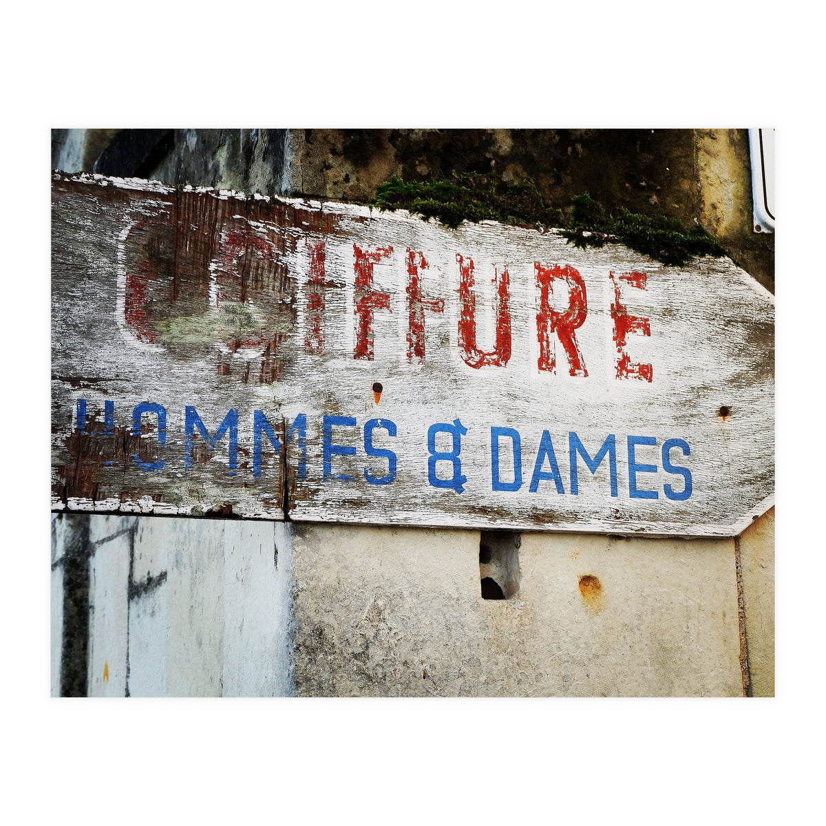 E3 F3226 F 3 Bdc 4379 8 C4 F Cbee394 B1236 (Print Only)