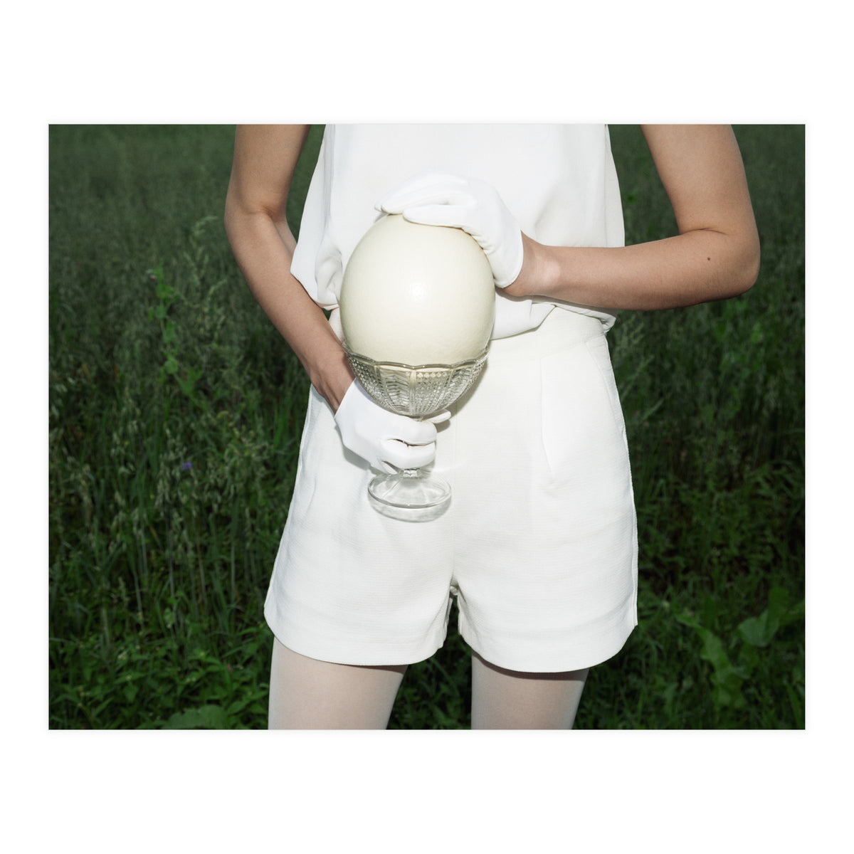 Dinosaur Inside (Print Only)