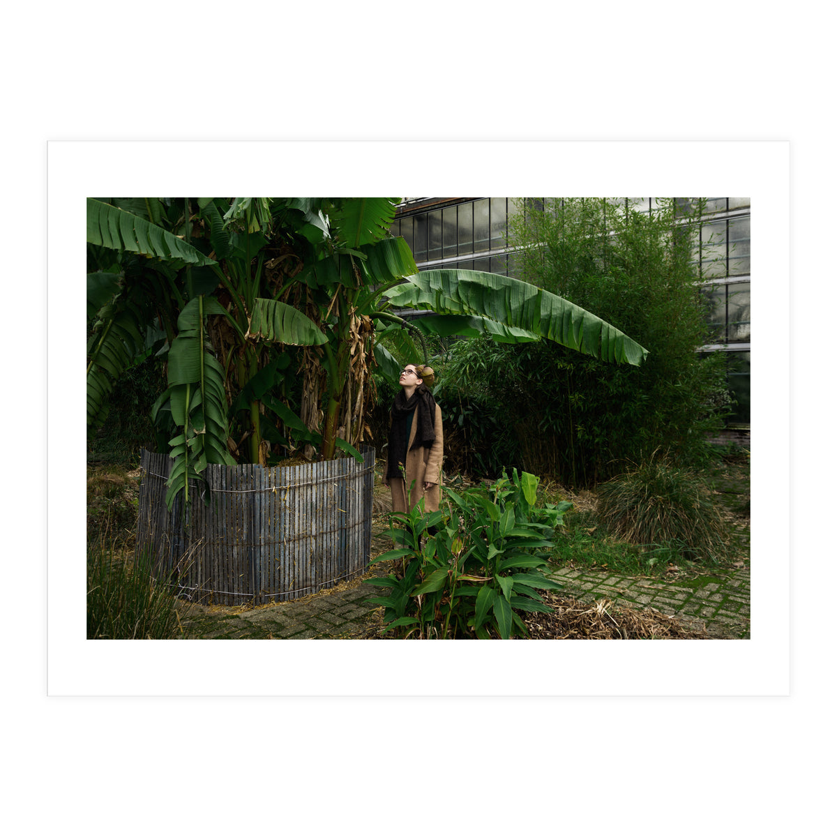 Transition from Summer to Winter (Print Only)