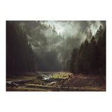 Foggy Forest Creek (Print Only) thumbnail
