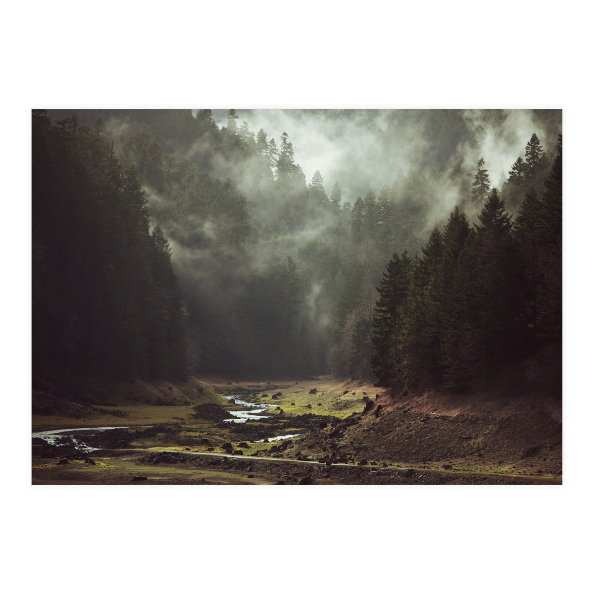 Foggy Forest Creek (Print Only)