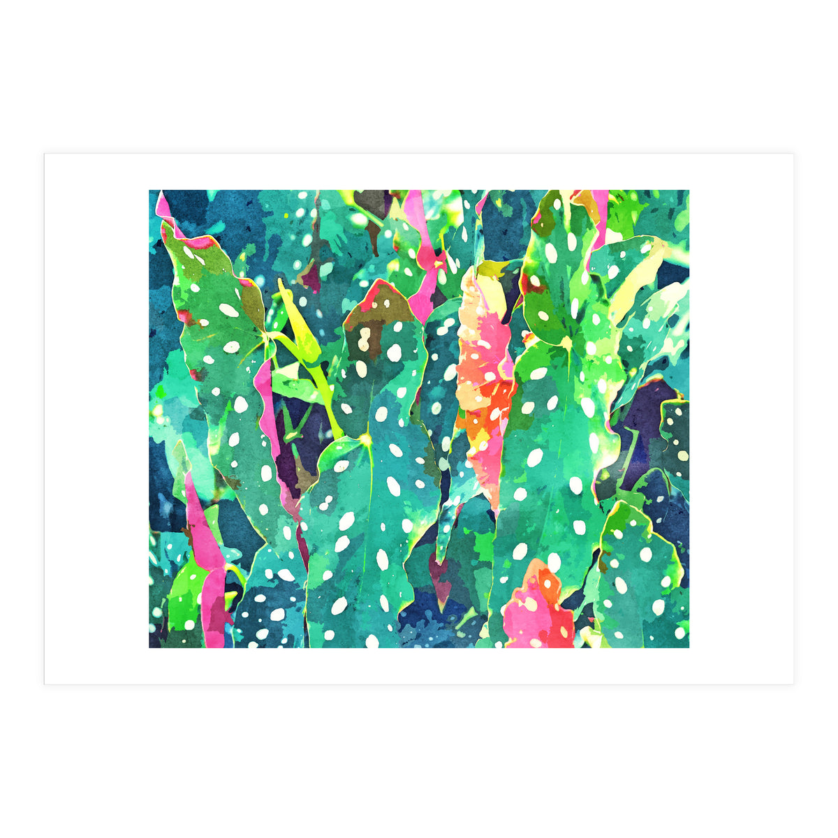 The Polka Dots Plant (Print Only)