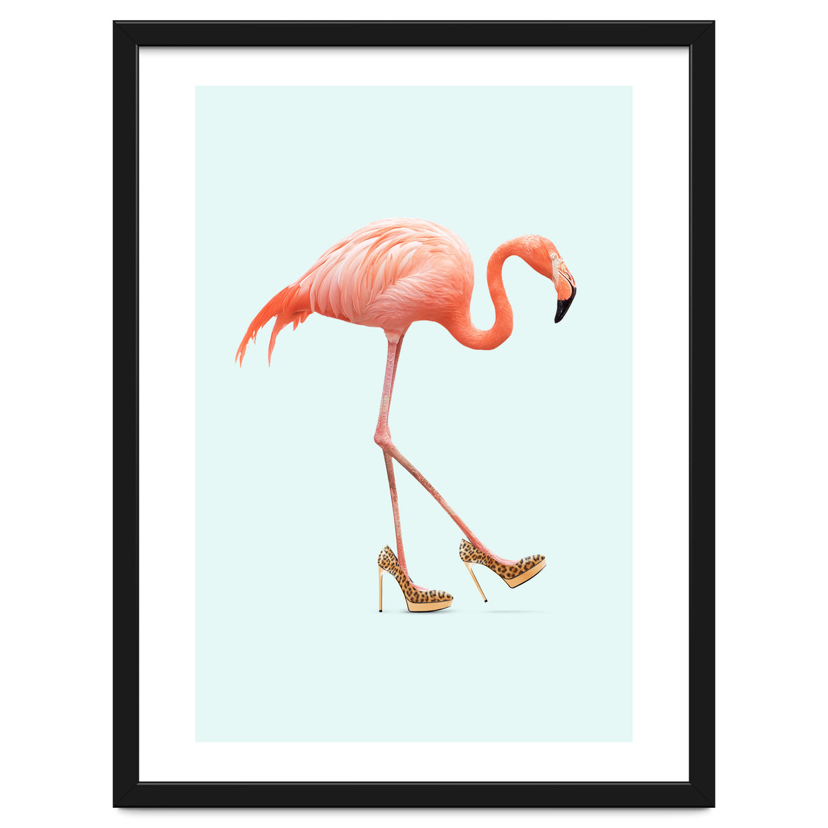 Fancy Flamingo