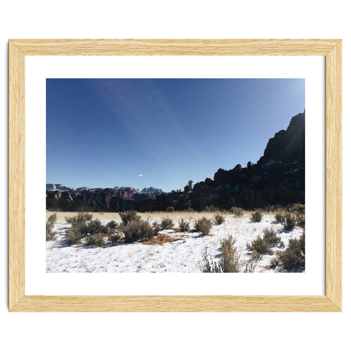 Zion National Park II