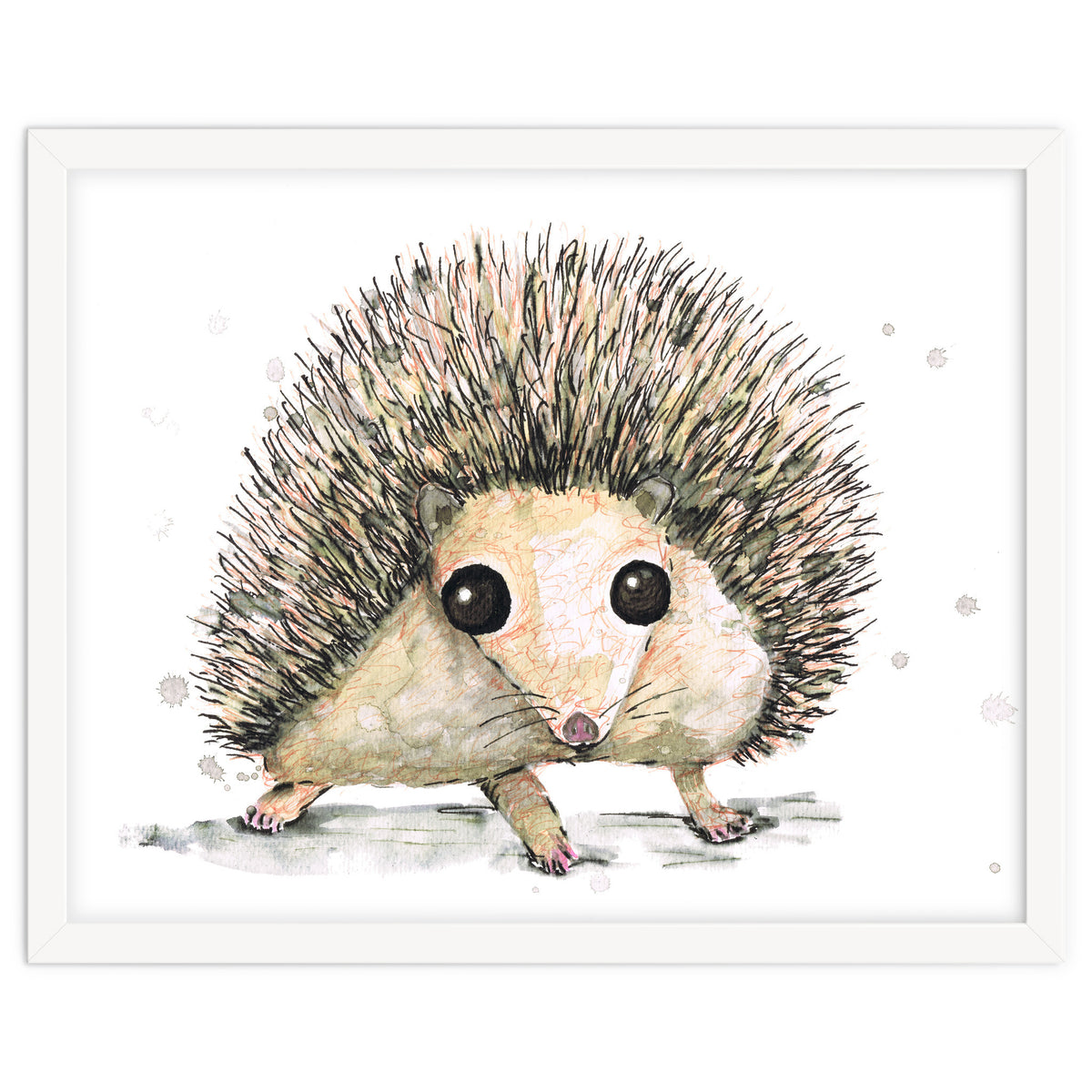 Hedgehog