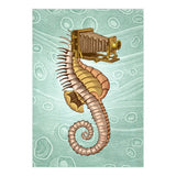 Hippocampus Camerarum (Print Only) thumbnail