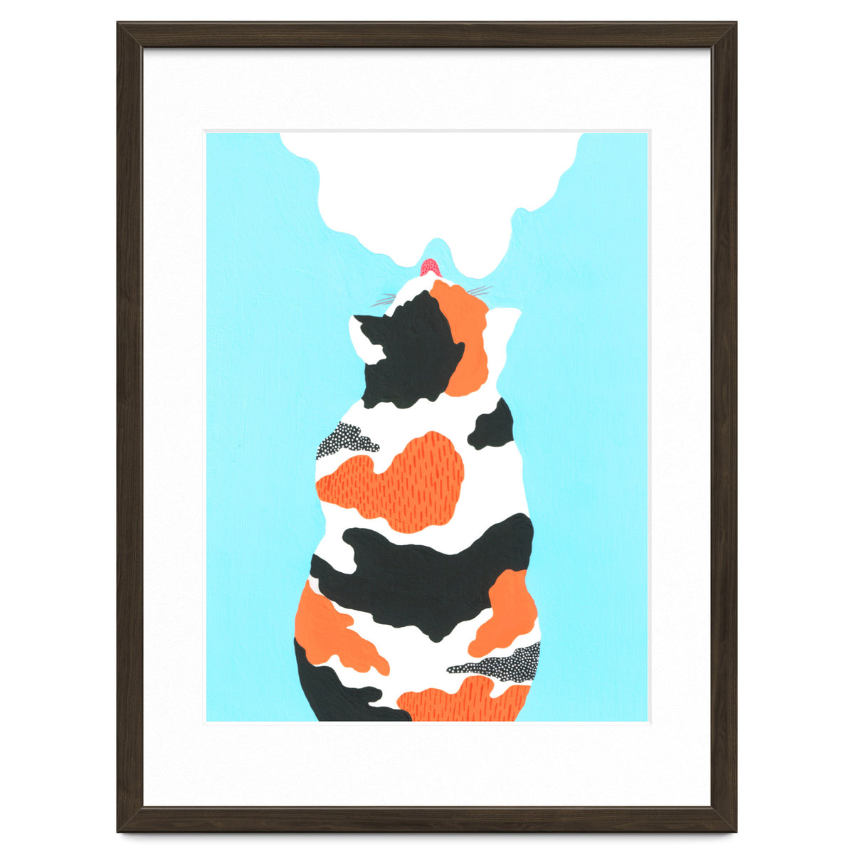 Tri Colored Calico Cat