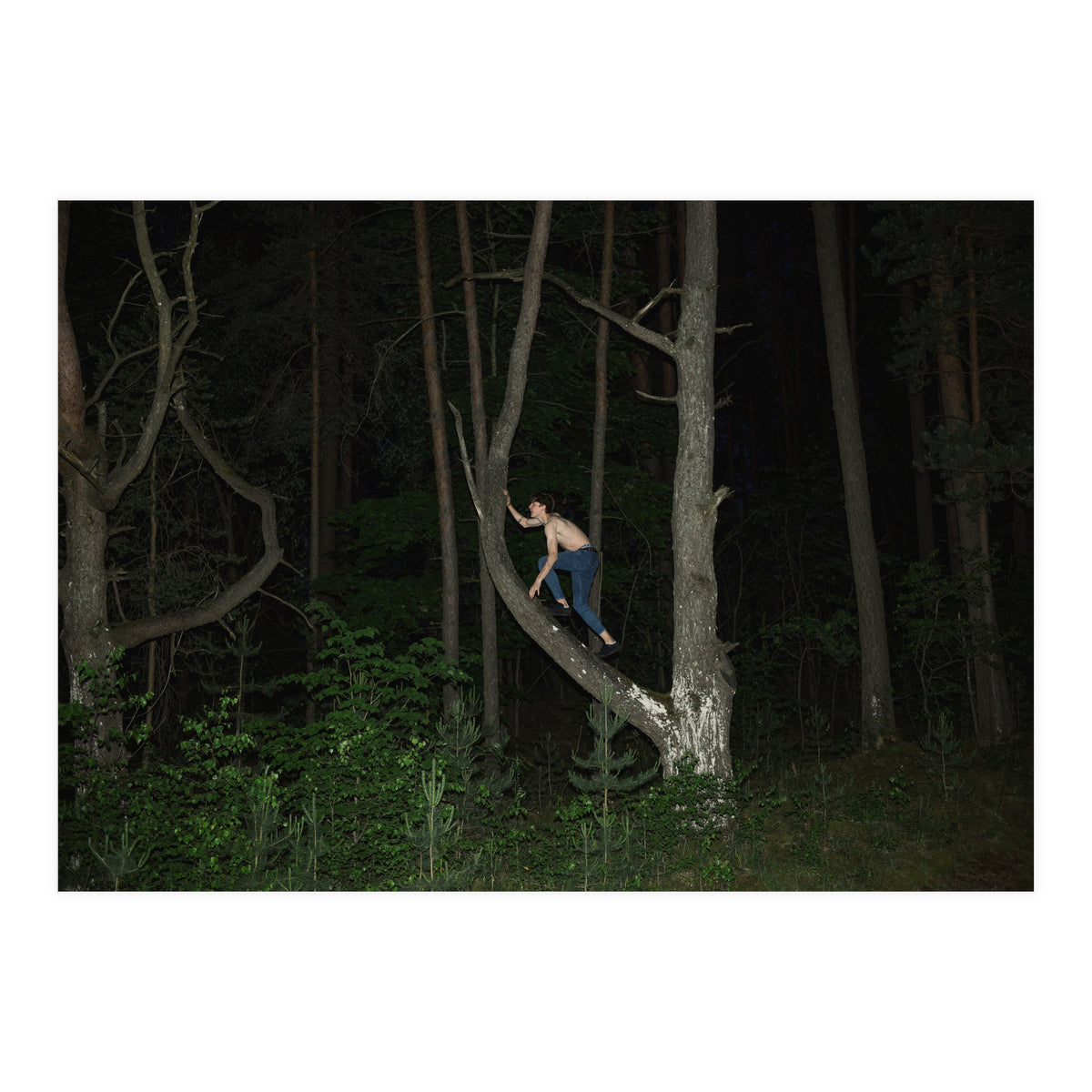 Night Crawler (Print Only)