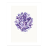 Cc Flower 01 (Print Only) thumbnail