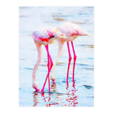 Flamingo Pink (Print Only) thumbnail