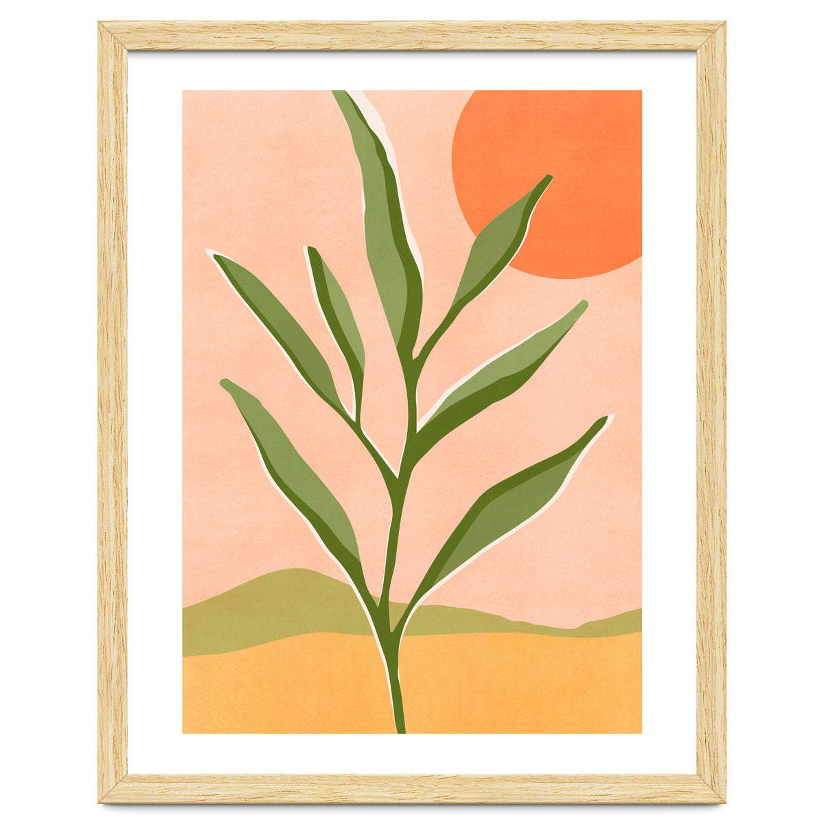 The Sun and The Succulent