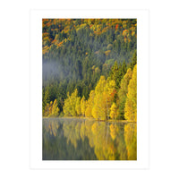 LAKE IN FOREST (Print Only)