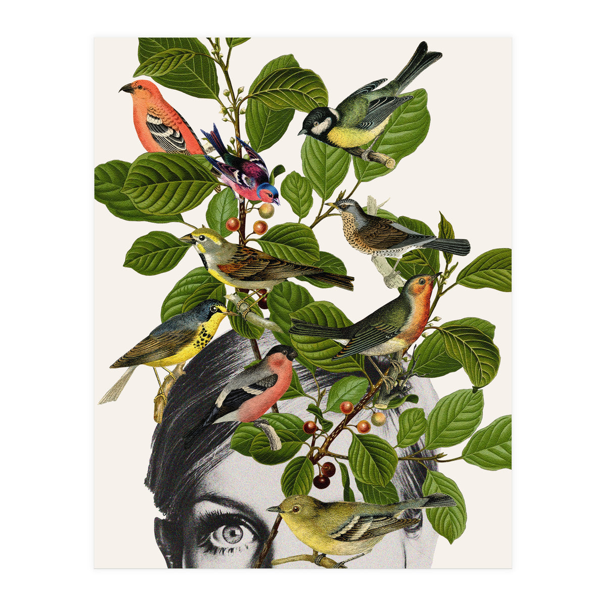 Twiggy Eyes (Print Only)