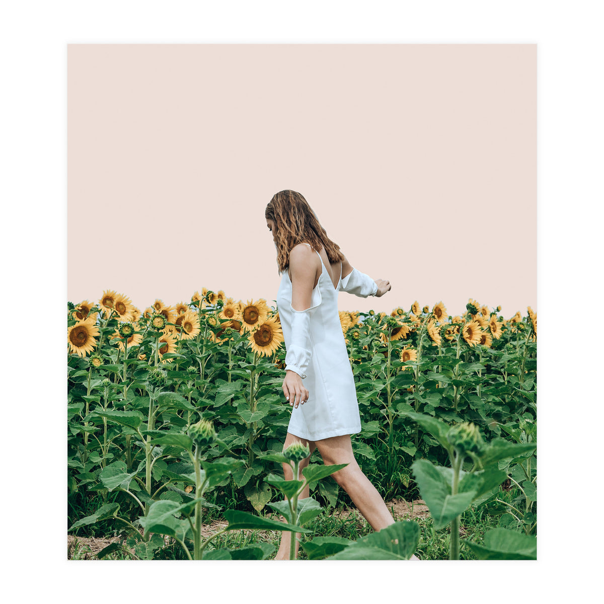 Lost In Sunflowers (Print Only)