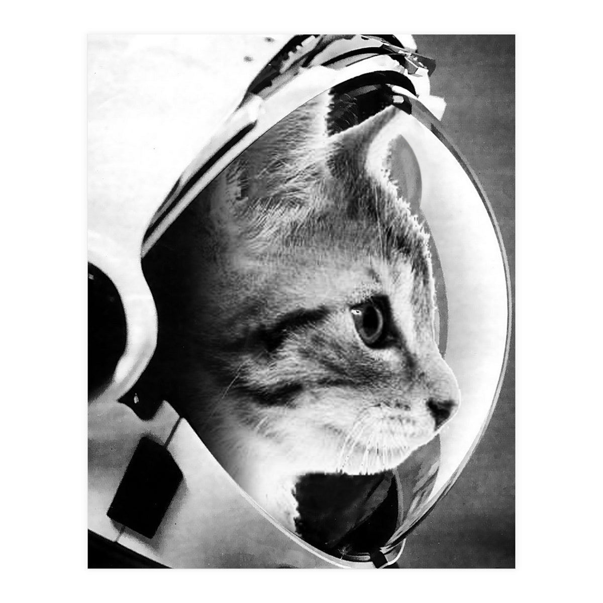 Astrocat (Print Only)