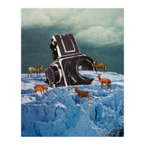 Cameraman (Print Only) thumbnail
