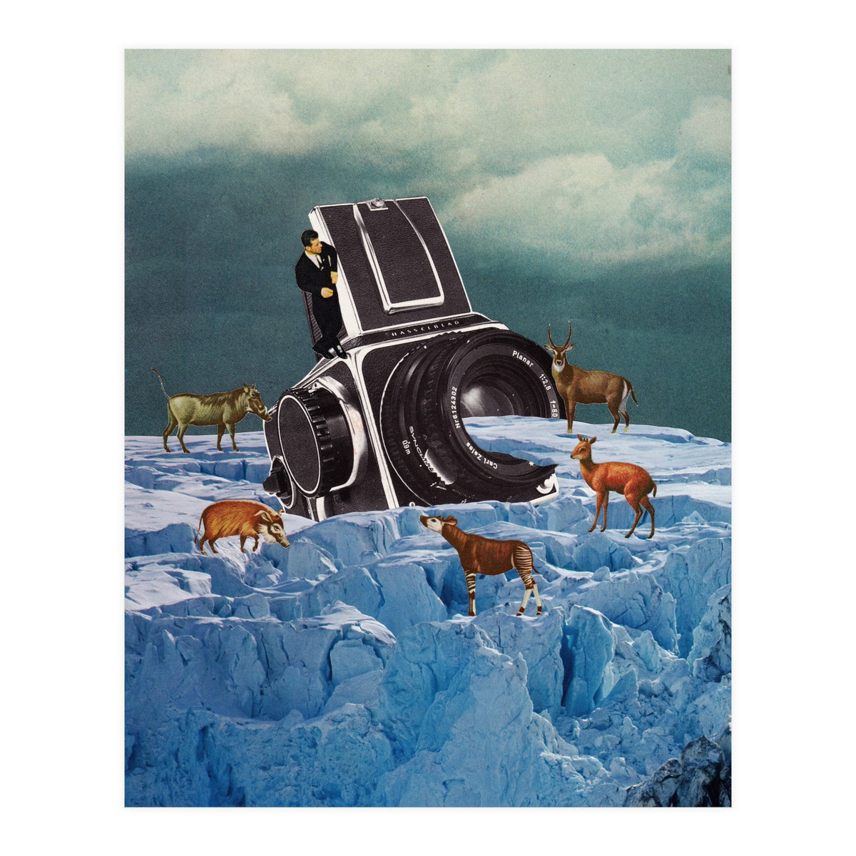 Cameraman (Print Only)