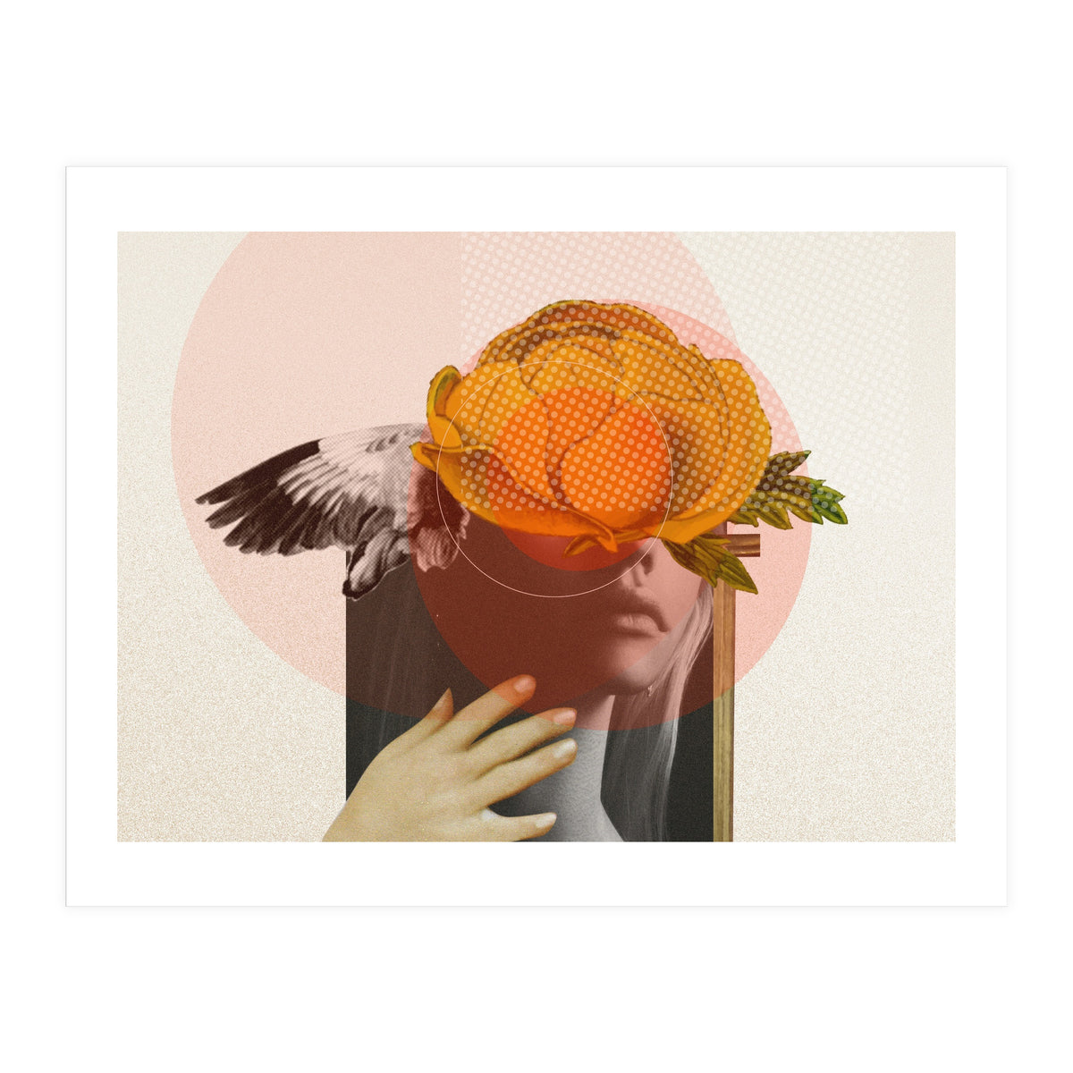 Dreamland Division · C (Print Only)