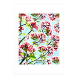 Frangipani (Print Only) thumbnail