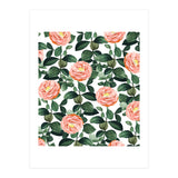 Josephine | Vintage Rose Garden Illustration | Bohemian Botanical Floral House Plants (Print Only) thumbnail