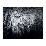 the sheep (Print Only) thumbnail