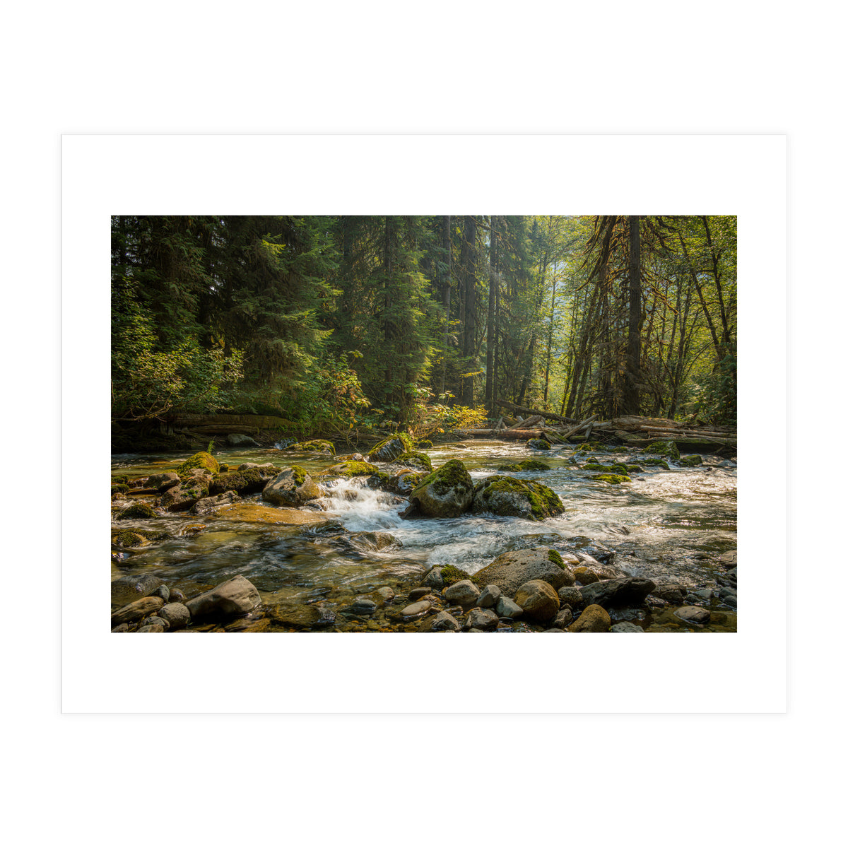 Cascade River (Print Only)