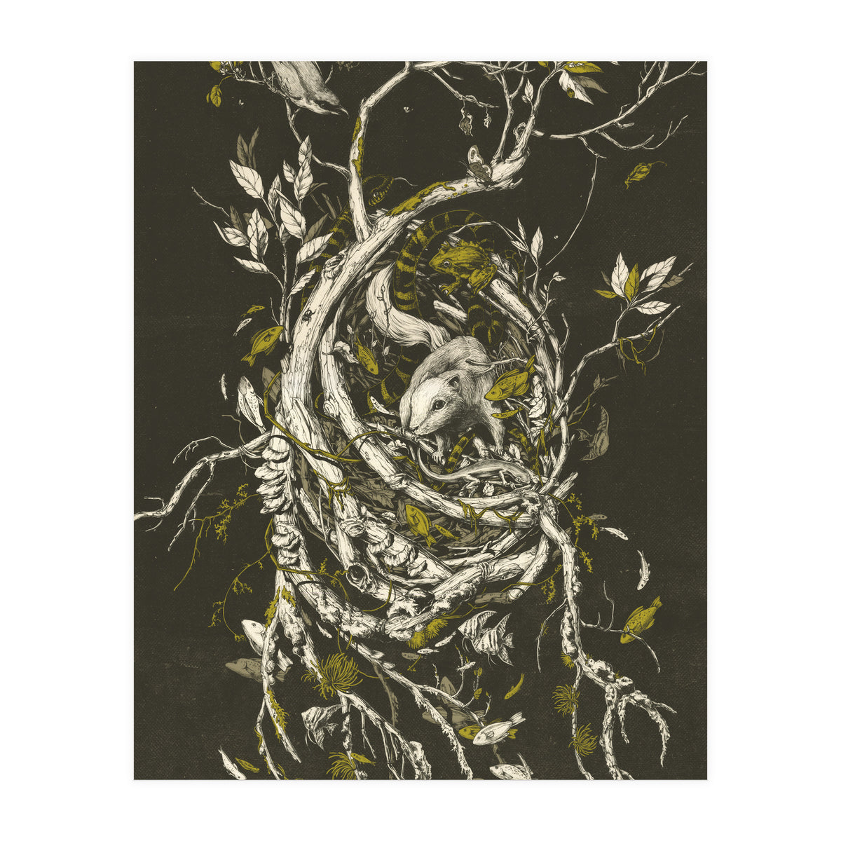 The Mangrove Tree (Print Only)