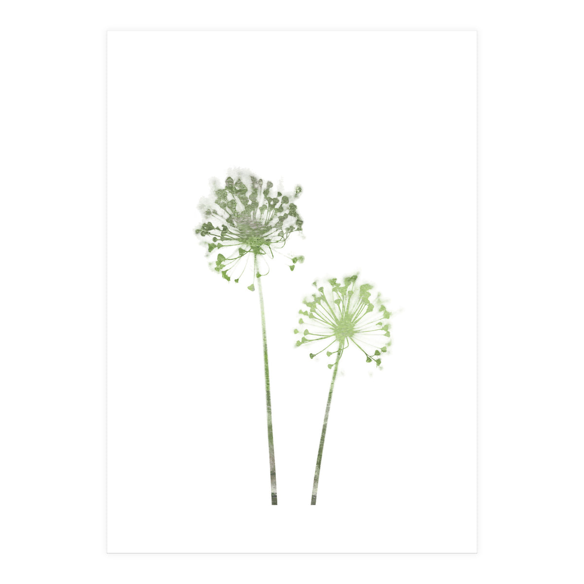 Olive Green Dandelion (Print Only)