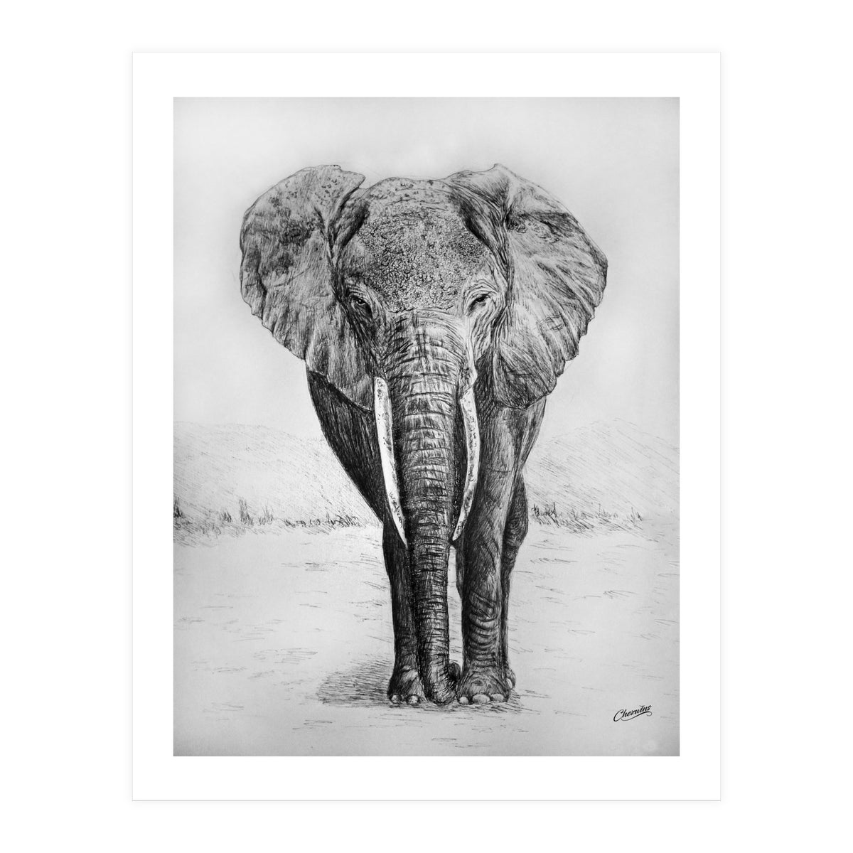 The Long Journey (Print Only)