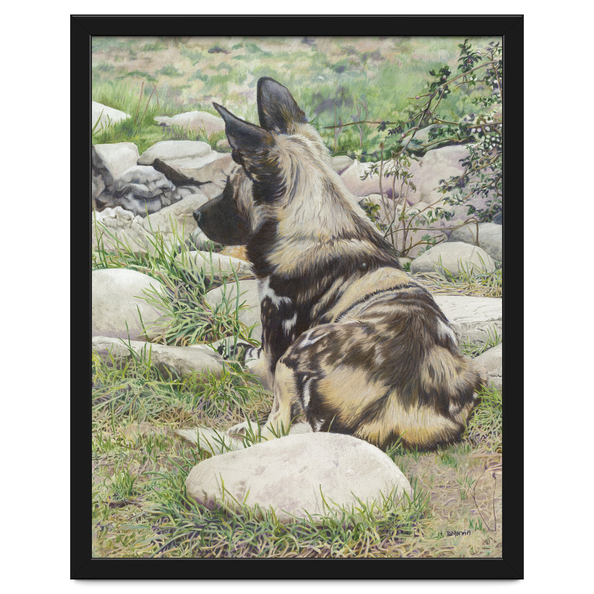 African Painted Dog I