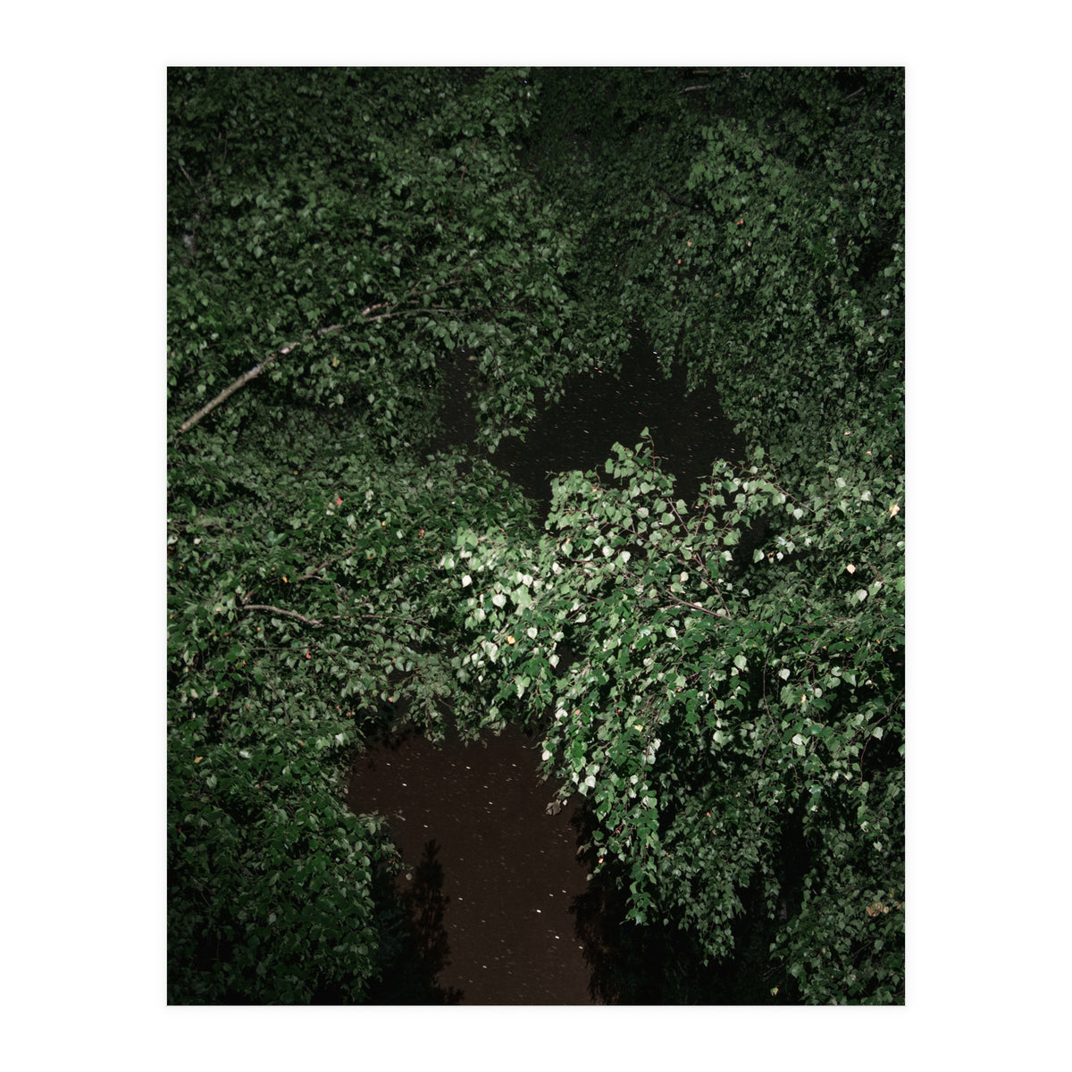Greenscape (Print Only)
