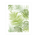 Samambaia  (Print Only) thumbnail