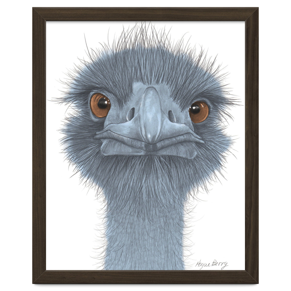The Blue Emu
