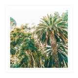 Newport (Print Only) thumbnail